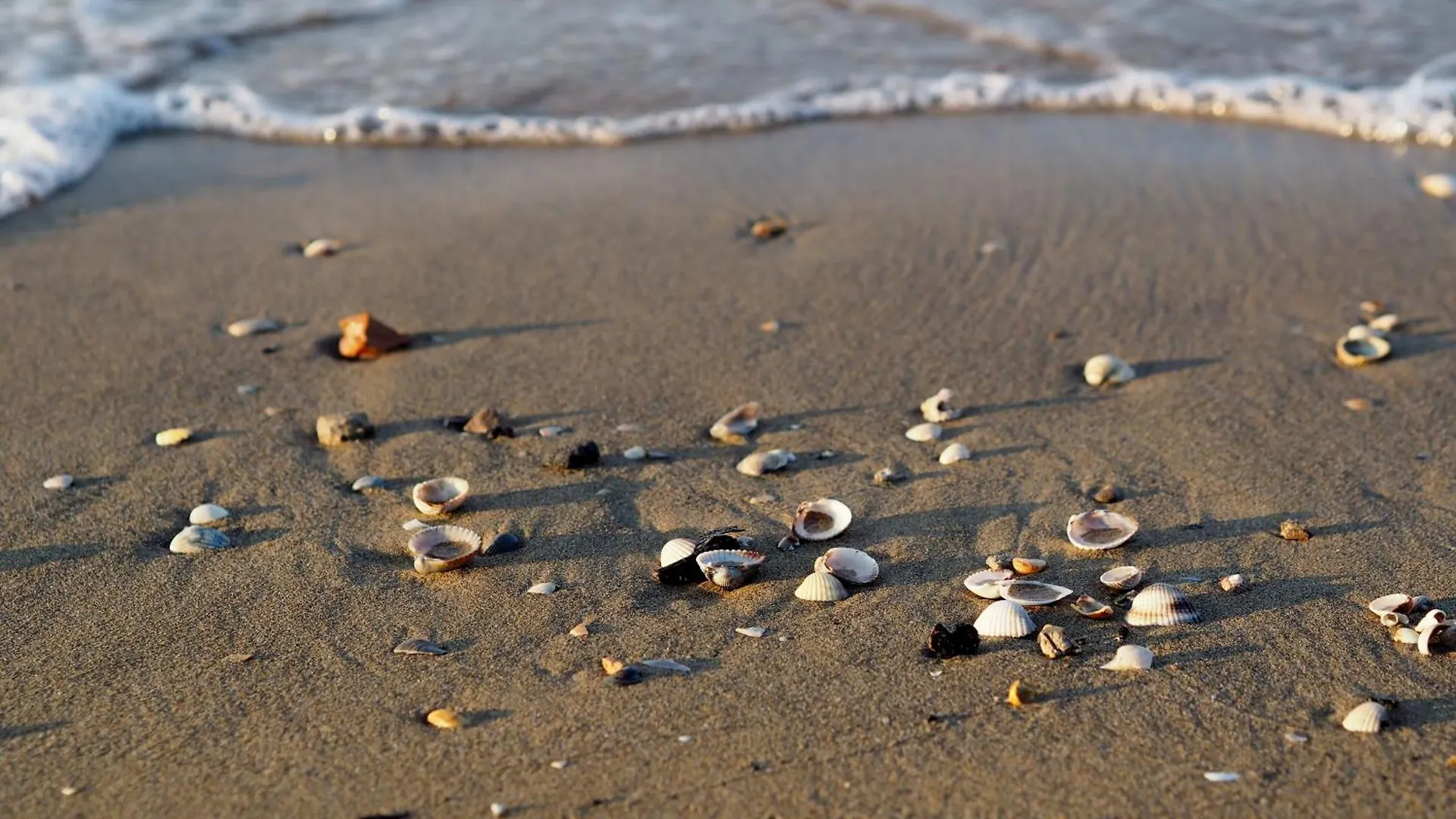 Apartment Warm Flat Just Few Steps From The Beach - Beahost Bibione Italy